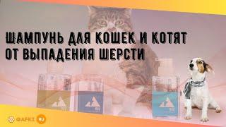 Шампунь для кошек и котят от выпадения шерсти