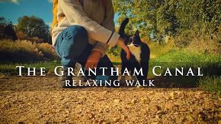 Autumn Walk | Grantham Canal | English Countryside