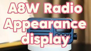 Choyong A8W Radio/Internet radio Appearance display