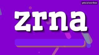 HOW TO SAY ZRNA? #zrna