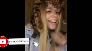 СМЕШНЫЕ КОТЫ КОШКИ 2020 ЗАБАВНЫЕ КОТЫ КОШКИ Funny Cat Videos