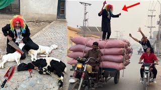 Qasai Sab Animals Ko Zibah Kr Rha 