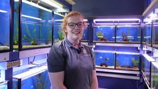 This Place has EVERYTHING! Auburn Aquarium Fish Store Tour