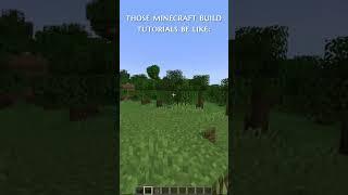 those minecraft build tutorials be like