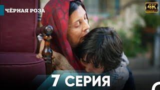 Чёрная роза 7 Серия Kороткий | 4K