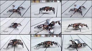 ACEBOTT QD020 ESP8266 Quadruped Bionic Spider Robot Kit With Arduino/ACECode (Scratch)