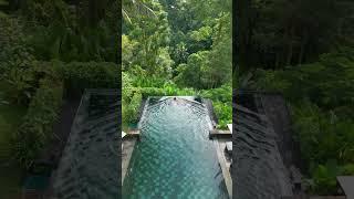 Bali has the best pools  #bali #ubud