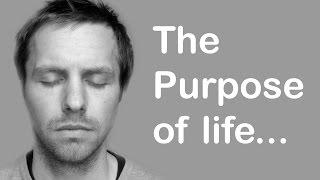 The purpose of life...