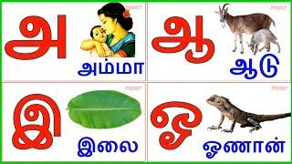 Uyir Ezhuthukal | Learn Tamil Alphabets/  உயிர் எழுத்துக்கள்/prinit