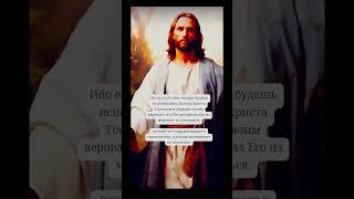 Ибо если устами твоими Христос -Господь#библия #bibel #germany #short #jesus #video #viral #bible
