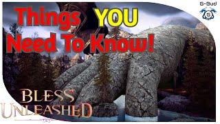 10 Tips And Tricks YOU Don't Know! | Bless Unleashed