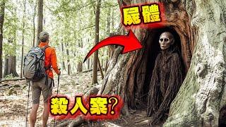 男子在樹林裡發現詭異骷髏！專家都嚇癱了！野外探險要千萬要小心