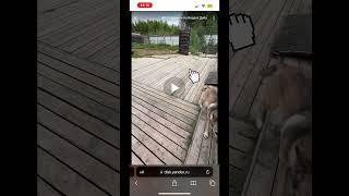 Как скачать видео с Яндекс диска из личных сообщений в VK на iPhone #инструкция