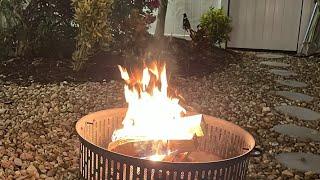 Basenji Adventures fire pit LIVE!