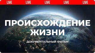 Происхождение. Как появилась жизнь на планете Земля? | Мифы эволюции  Live