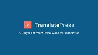 TranslatePress | How the WordPress Website Translation Plugin works