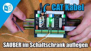 Mit CAT Kabeln zukunftssicher Loxone installieren!