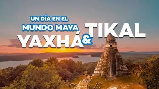 TIKAL y YAXHA Full Day Maya en PETEN GUATEMALA