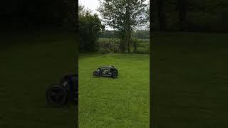 Ecoflow Blade robotic lawnmower, obstacle avoidance in action!!