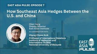 How do SEA countries hedge against US-China rivalry? With Prof Cheng-Chwee Kuik