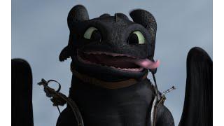 proof everyone likes toothless