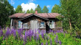 Perfect Getaway Cottage (HOW CAN INSIDE BE LIKE THIS?) - Rotten Stairs Again.. Dangerous..