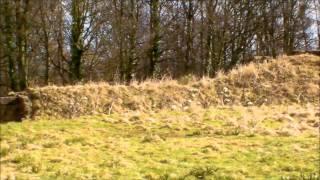 Heritage Walk to Old Mulgrave Castle