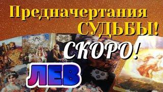 ЛЕВ  СКОРО Предначертания СУДЬБЫ Какие События ВОРВУТСЯ в вашу жизнь Таро Расклад