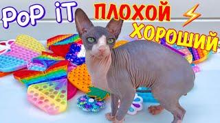 КОШАЧИЙ ПОП ИТ  ПЛОХОЙ vs ХОРОШИЙ ПОП ИТ