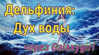 Дельфиния: Дух воды