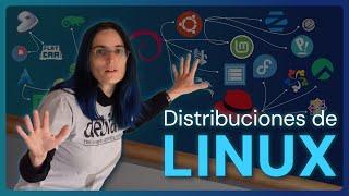 ¡Demasiadas distros! La historia y el caos de Linux explicado