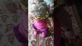 Toddler Carolina Sits #shorts