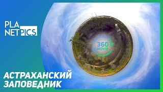 VR 360 | Астраханский биосферный заповедник