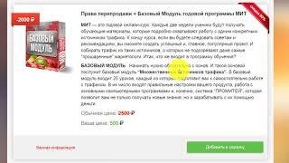 Вячеслав Томин про первые деньги от проекта МИТ! Вы можете получить такие же результаты!