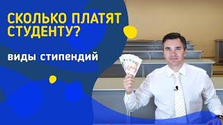 Виды стипендий || Сколько платят студенту?