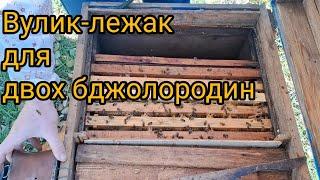 Вулик-лежак на дві сім'ї. Як підготувати до зимівлі?