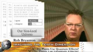 36 - Do Plants Use Quantum Effects?