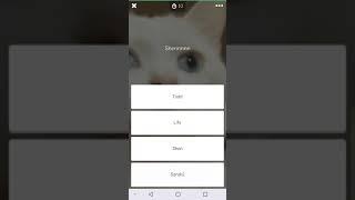 The easiest quiz I've ever taken on Amino