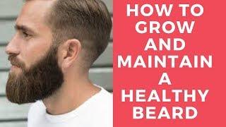 How to Grow and Maintain a Healthy Beard  Daily Personal Care Products