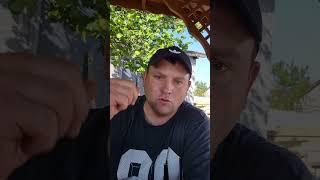 DONI KRÓL🫅 #trending #shorts #short #shortsvideo #shortvideo #shortsfeed #funny #comedy #viralvideo