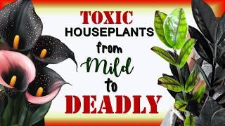 The Ultimate Houseplant Toxicity Index: Keep Your Home Safe | Poisonous Houseplants| Herb Stories