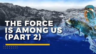 European Rivers Summit 2021 - The Force is Among Us (Part 2) | 19 Nov.