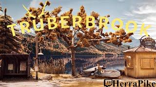 Trüberbrook (Прохождение)