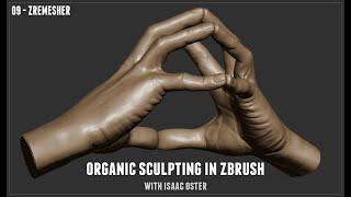 Organic Sculpting in Zbrush - 09 ZRemesher / Pinky