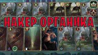 GWENT | НАКЕР ОРГАНИКА (Стая главоглазов) — гайд | Гвинт Патч 11.4