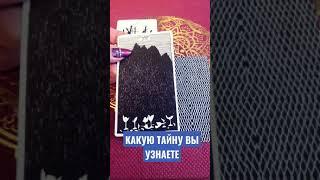 КАКУЮ ТАЙНУ ВЫ УЗНАЕТЕ  #Гадание #Таро #Онлайн #shorts Светлана ВЕДА