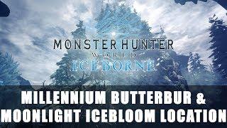 MHW Iceborne: Millennium Butterbur, Moonlight Icebloom & Icebloom Location