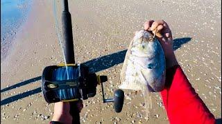 Shark fishing off the surf - South Padre Island Tx