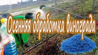 Осенняя обработка винограда медным купоросом