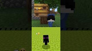 poi poi poi cute which one is best ? #minecraft #shorts #edit #point